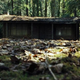 Image for article titled Why Cabin in the Woods Really Is Like a Very Special Buffy Episode